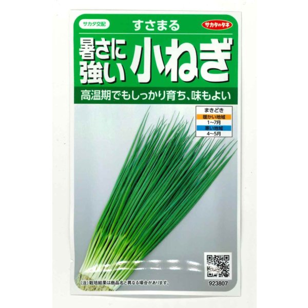 画像1: 送料無料 [ねぎ] 小ねぎ すさまる 小袋（約2000粒）（株）サカタのタネ　実咲204463 (1)