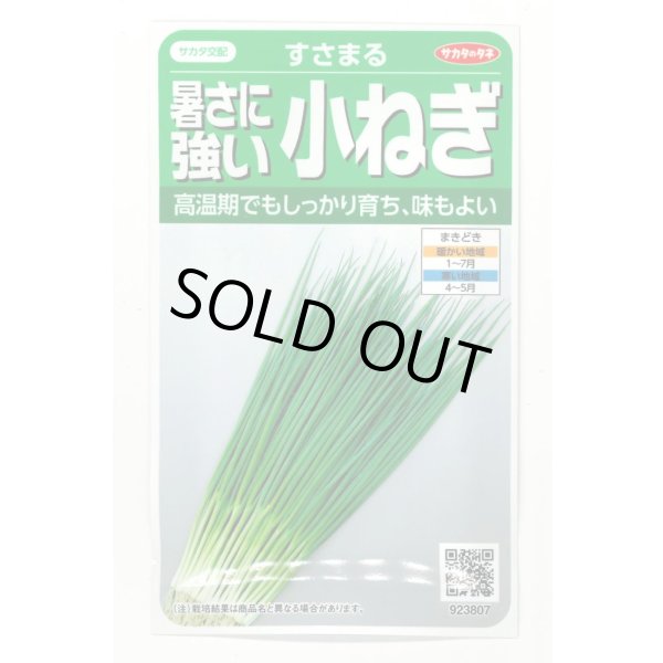 画像1: 送料無料 [ねぎ] 小ねぎ すさまる 小袋（約2000粒）（株）サカタのタネ　実咲204463 (1)