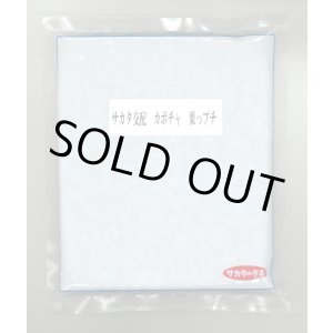 画像: 送料無料 [かぼちゃ] 栗っプチ 500粒 (株)サカタのタネ