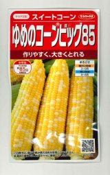 画像: 送料無料[とうもろこし] ゆめのコーンビッグ85 約55粒 （株）サカタのタネ 実咲450(004023)