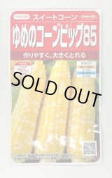 画像: [とうもろこし] ゆめのコーンビッグ85 約55粒 (株)サカタのタネ 実咲450(004023)