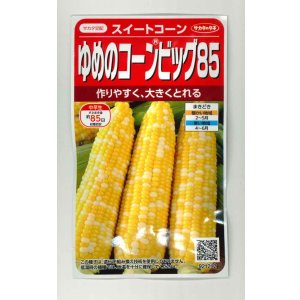 画像: 送料無料[とうもろこし] ゆめのコーンビッグ85 約55粒 （株）サカタのタネ 実咲450(004023)