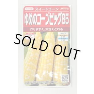 画像: [とうもろこし] ゆめのコーンビッグ85 約55粒 (株)サカタのタネ 実咲450(004023)
