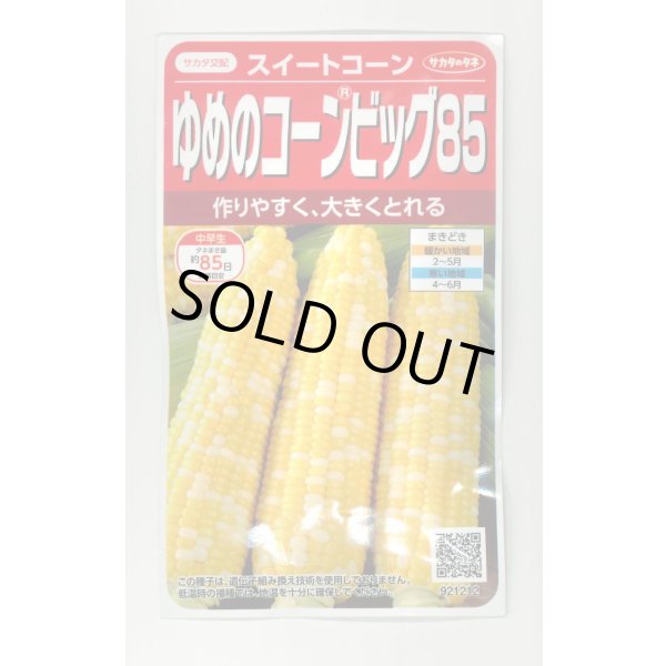 画像1: [とうもろこし] ゆめのコーンビッグ85 約55粒 (株)サカタのタネ 実咲450(004023) (1)