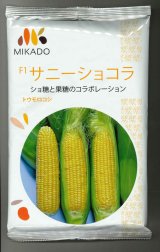 画像: [とうもろこし]　サニーショコラ　2000粒　ヴィルモランみかど（株）