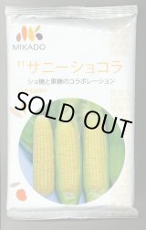 画像: [とうもろこし]　サニーショコラ　2000粒　ヴィルモランみかど（株）