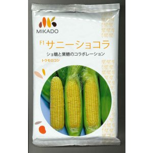 画像: [とうもろこし]　サニーショコラ　2000粒　ヴィルモランみかど（株）