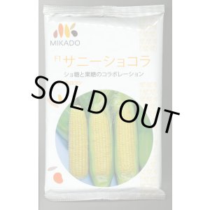 画像: [とうもろこし]　サニーショコラ　2000粒　ヴィルモランみかど（株）