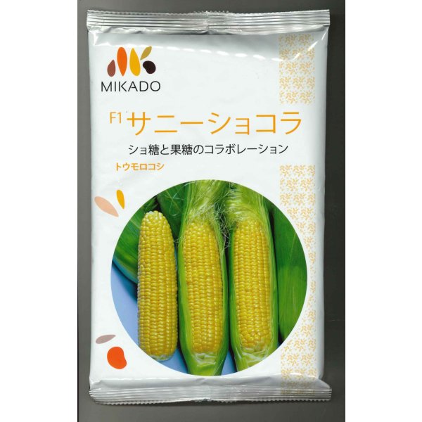 画像1: [とうもろこし]　サニーショコラ　2000粒　ヴィルモランみかど（株） (1)