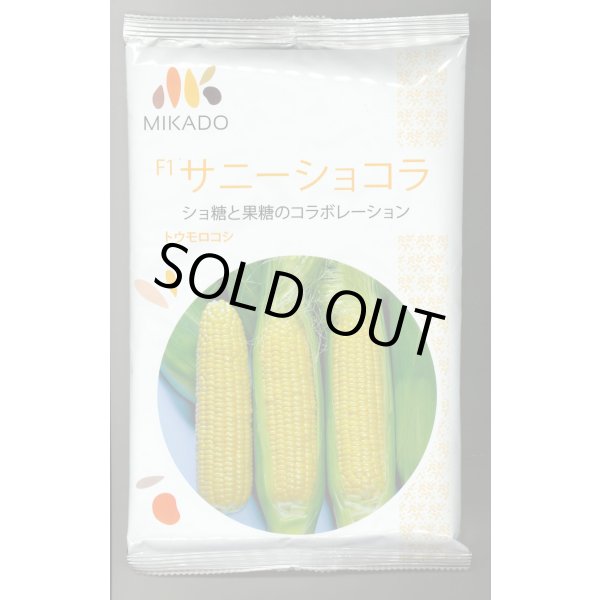 画像1: [とうもろこし]　サニーショコラ　2000粒　ヴィルモランみかど（株） (1)