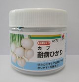 画像:  [かぶ] 耐病ひかり　ペレット　5000粒　タキイ種苗(株)