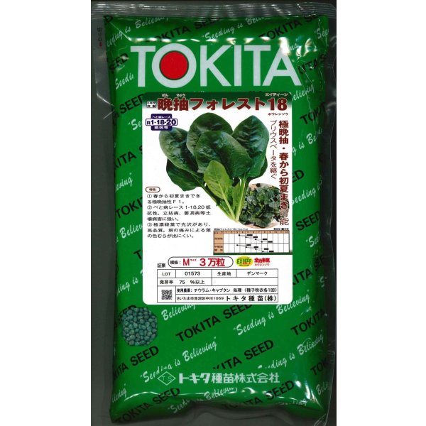 画像1: ほうれんそう　晩抽フォレスト18　（種子サイズM）3万粒　トキタ種苗（株） (1)