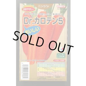 画像: 送料無料 [人参] Dr.カロテン5 ペレット種子 2000粒 タキイ種苗(株)