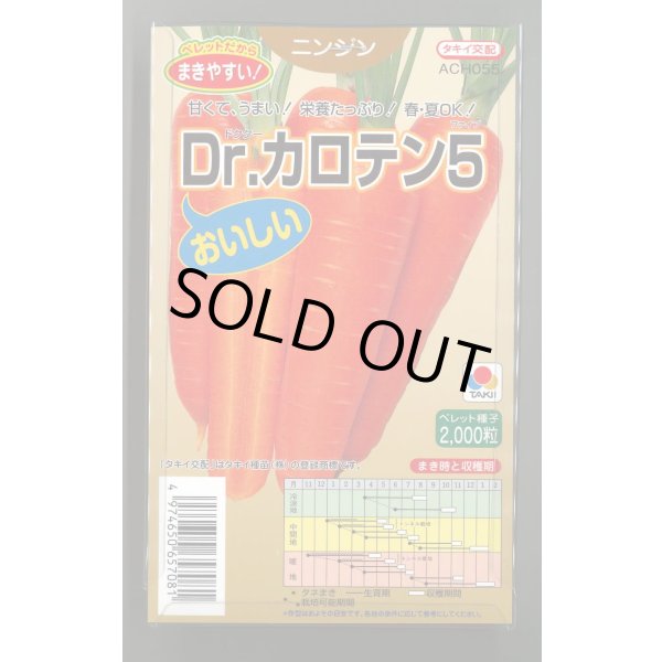 画像1: 送料無料 [人参] Dr.カロテン5 ペレット種子 2000粒 タキイ種苗(株) (1)