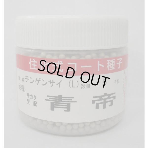 画像1: チンゲンサイ 青帝チンゲンサイ ペレット5000粒 (株)サカタのタネ (1)
