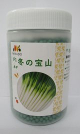 画像: [ねぎ]　冬の宝山　ペレット種子6000粒　ヴィルモランみかど（株）