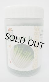 画像: [ねぎ]　冬の宝山　ペレット種子6000粒　ヴィルモランみかど（株）