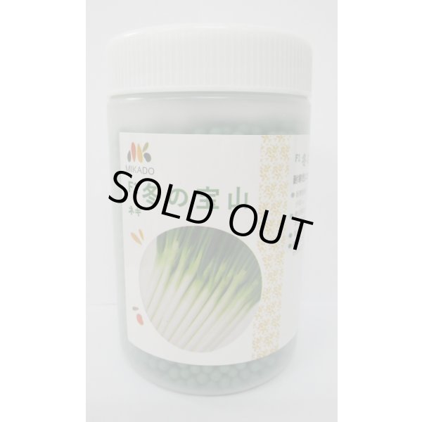 画像1: [ねぎ]　冬の宝山　ペレット種子6000粒　ヴィルモランみかど（株） (1)