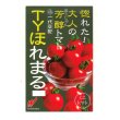 画像1: 送料無料　[トマト/ミニトマト]　TYほれまる　500粒　渡辺農事（株） (1)