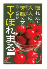 画像: 送料無料　[トマト/ミニトマト]　TYほれまる　500粒　渡辺農事（株）