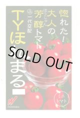 画像: 送料無料　[トマト/ミニトマト]　TYほれまる　500粒　渡辺農事（株）