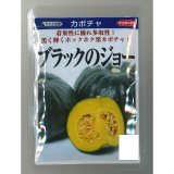 画像: 送料無料 [かぼちゃ] ブラックのジョー 500粒 (株)サカタのタネ