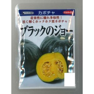 画像: 送料無料 [かぼちゃ] ブラックのジョー 500粒 (株)サカタのタネ