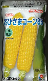画像: [とうもろこし] おひさまコーン88 2000粒 タキイ種苗(株)
