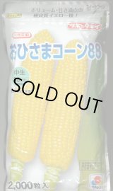 画像: [とうもろこし] おひさまコーン88 2000粒 タキイ種苗(株)