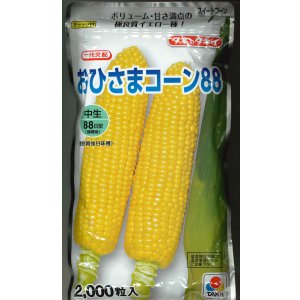 画像: [とうもろこし] おひさまコーン88 2000粒 タキイ種苗(株)