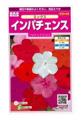 画像: 送料無料　花の種　インパチェンス　ミックス　約50粒　(株)サカタのタネ　実咲350　（206034）