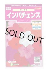 画像: 花の種 インパチェンス ミックス 約50粒 (株)サカタのタネ 実咲350 (206034)