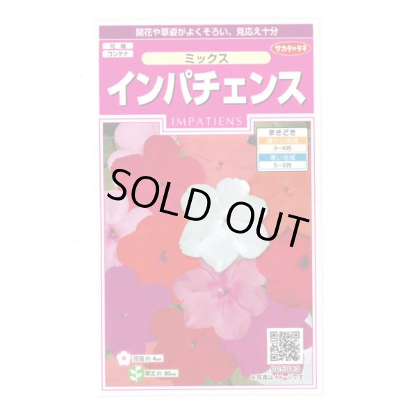 画像1: 花の種 インパチェンス ミックス 約50粒 (株)サカタのタネ 実咲350 (206034) (1)