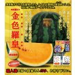 画像3: 送料無料　[スイカ]　大玉スイカ　金色羅皇　100粒　ナント種苗(株) (3)