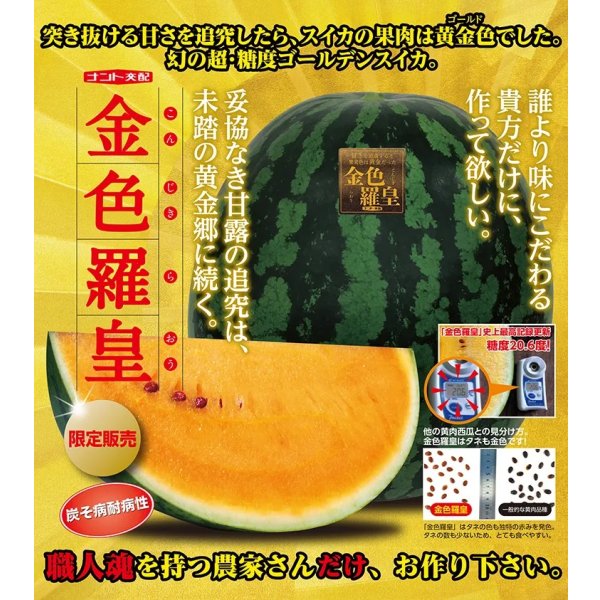 画像3: 送料無料　[スイカ]　大玉スイカ　金色羅皇　100粒　ナント種苗(株) (3)