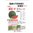 画像5: 送料無料　[スイカ]　大玉スイカ　羅皇ザ・スイート　5粒　ナント種苗(株) (5)