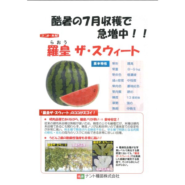 画像5: 送料無料　[スイカ]　大玉スイカ　羅皇ザ・スイート　5粒　ナント種苗(株) (5)