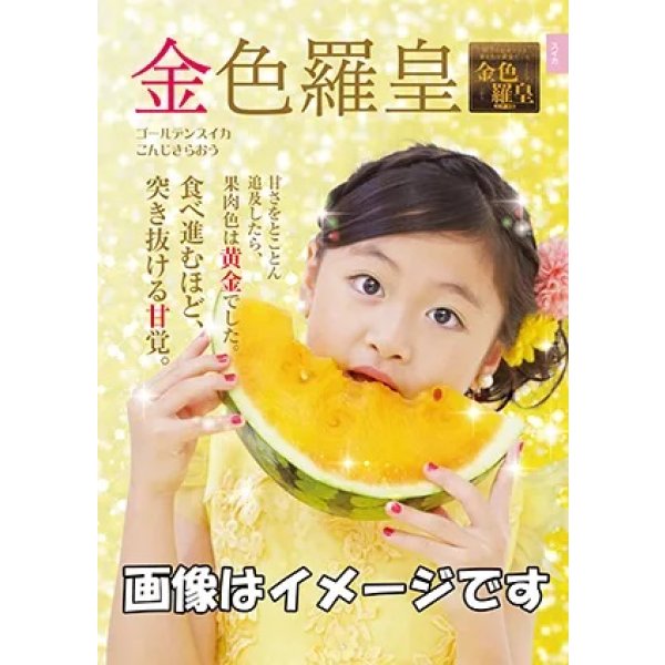 画像2: 送料無料　[スイカ]　大玉スイカ　金色羅皇　100粒　ナント種苗(株) (2)