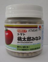 画像: 送料無料 [トマト/桃太郎系]桃太郎みなみ 2L PL 1000粒 タキイ種苗(株)