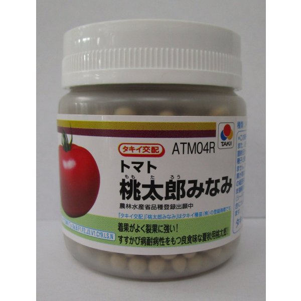 画像1: 送料無料 [トマト/桃太郎系]桃太郎みなみ 2L PL 1000粒 タキイ種苗(株) (1)