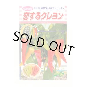 画像: [ピーマン] カラーピーマン 恋するクレヨン 15粒 松永種苗（株）