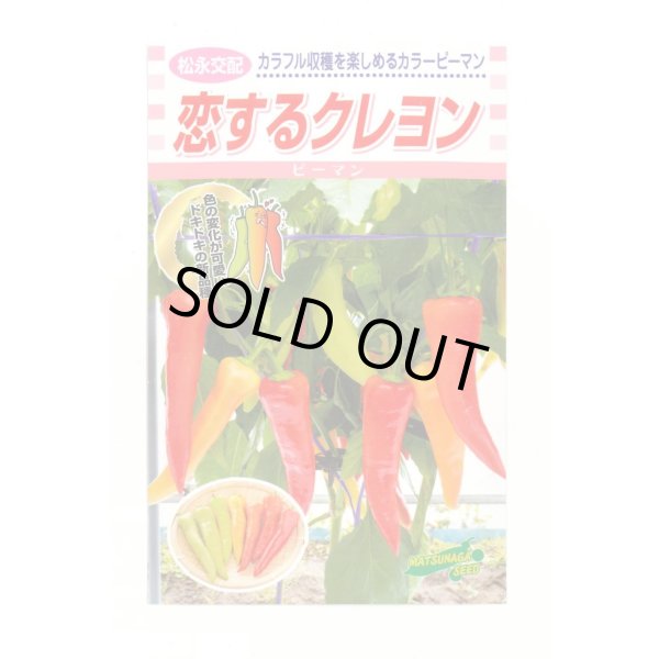画像1: [ピーマン] カラーピーマン 恋するクレヨン 15粒 松永種苗（株） (1)
