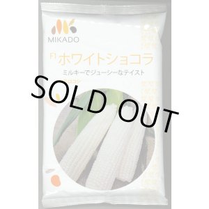 画像: [とうもろこし] ホワイトショコラ 2000粒 ヴィルモランみかど（株）