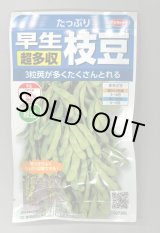 画像: 送料無料　[枝豆]　たっぷり　33ml（約66粒） （株）サカタのタネ実咲350（107806）