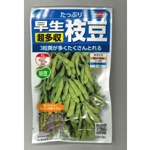 画像: 送料無料　[枝豆]　たっぷり　33ml（約66粒） （株）サカタのタネ実咲350（107806）