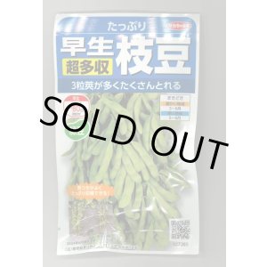 画像: 送料無料　[枝豆]　たっぷり　33ml（約66粒） （株）サカタのタネ実咲350（107806）