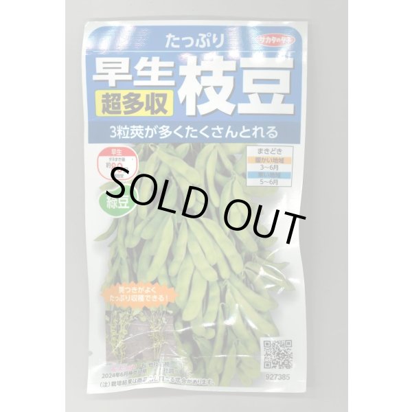 画像1: 送料無料　[枝豆]　たっぷり　33ml（約66粒） （株）サカタのタネ実咲350（107806） (1)
