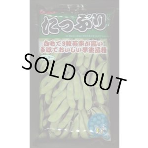 画像: [枝豆]　たっぷり　1L （株）サカタのタネ