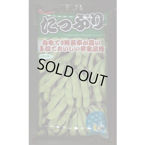 画像1: [枝豆]　たっぷり　1L （株）サカタのタネ (1)