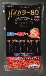 画像: [とうもろこし]　ミルキーシュガーバイカラー80　2000粒　トキタ種苗(株)